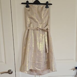 The Limited Gold Iridescent Cream Strapless Knee Length Silk Dress NWT Size 8